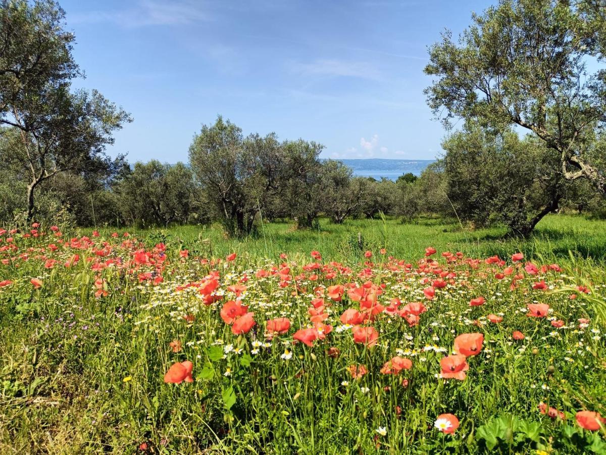 Meridiano 12 Bolsena Kültér fotó