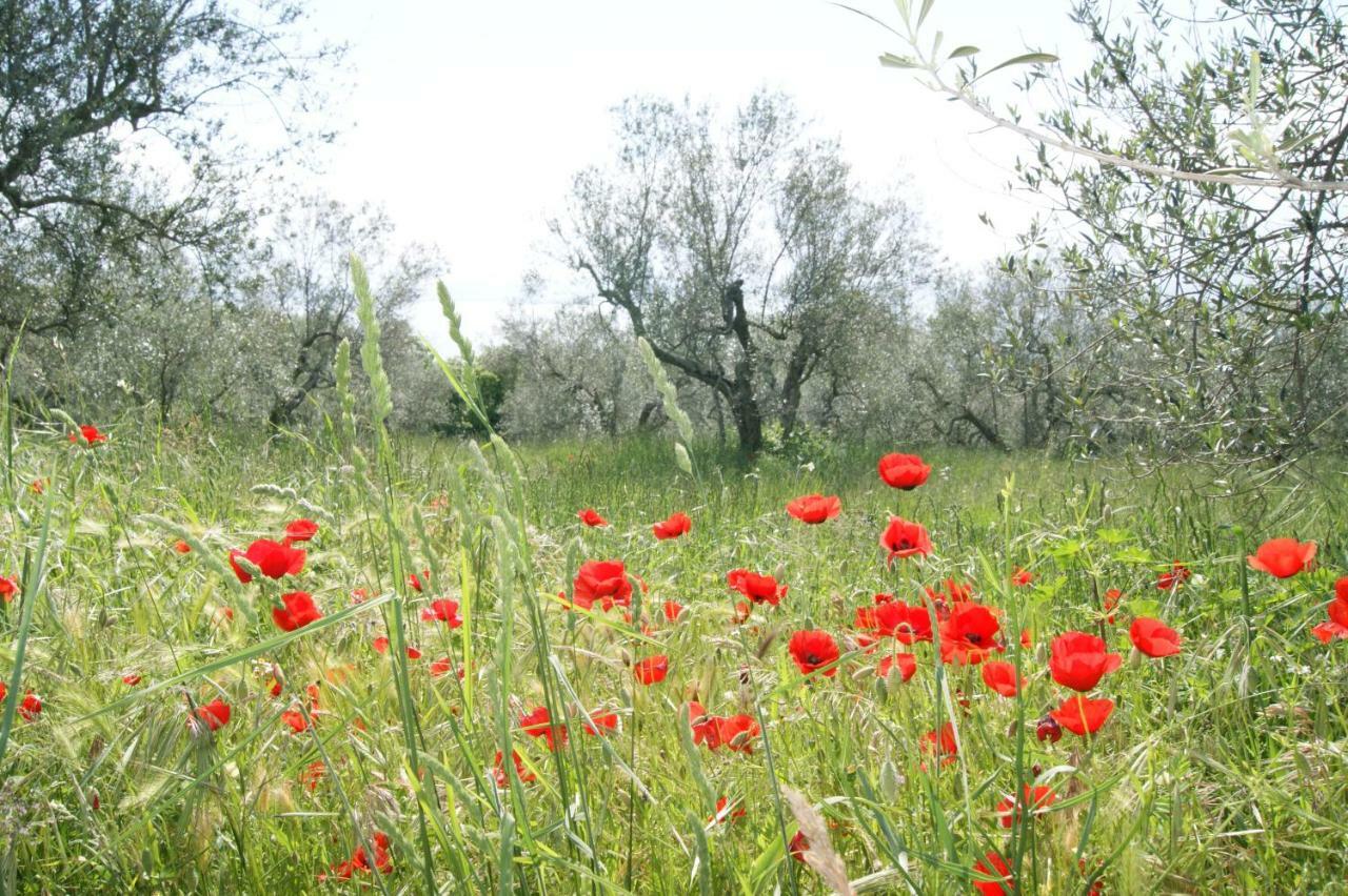 Meridiano 12 Bolsena Kültér fotó